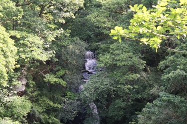 Wasserfall im Black Spout Wood