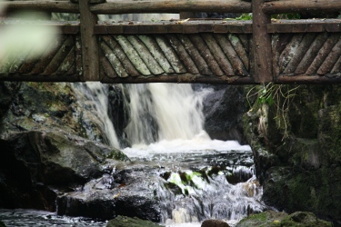 Glen Grant Garden - Wasserfall